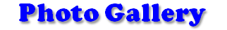 Page Title