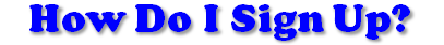 Page Title
